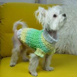 Ubranie dla psa lub kota sfinksa, sweterek dla psa lub kota