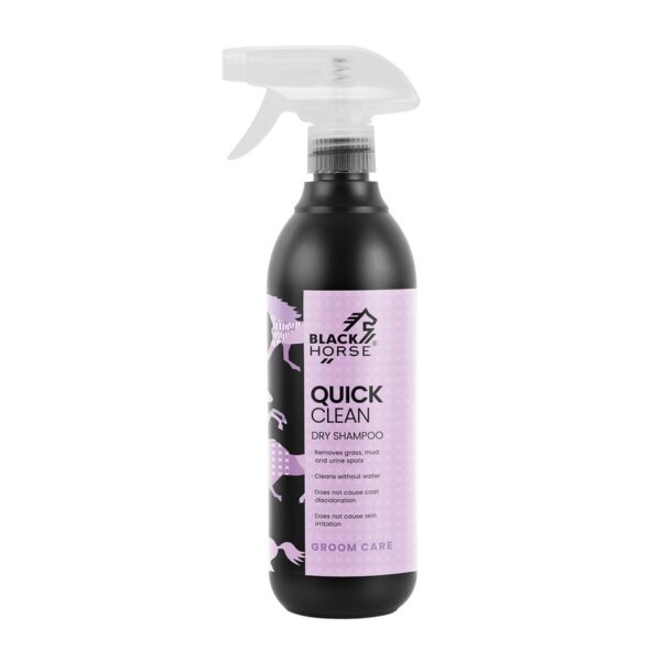 Suchy szampon Quick clean
