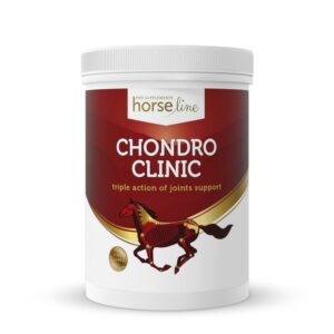 HorseLinePRO ChondroClinic pomaga zwalczyć ogniska zapalne i bólowe w obrębie stawów