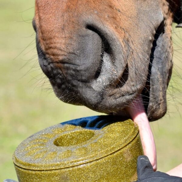 Naturalna lizawka dla koni z mielonymi igłami sosny - poprawia oddychanie