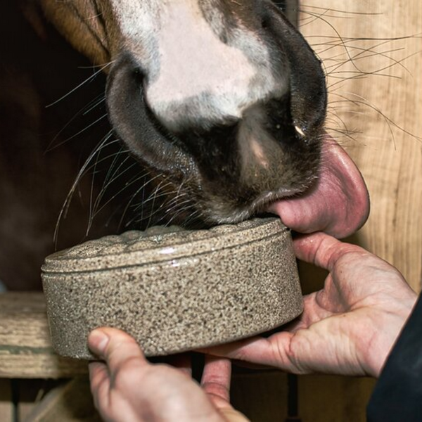 Naturalna lizawka dla koni z solą himalajską i minerałami - poprawia samopoczucie
