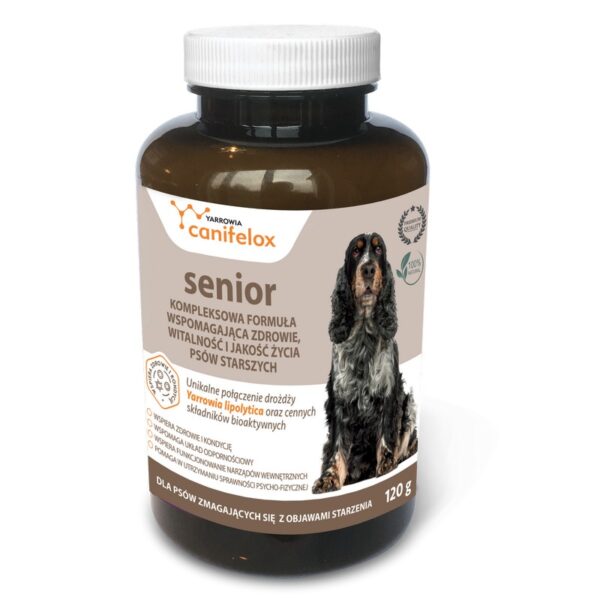 Canifelox Senior, łagodzi dolegliwości u starszych psów