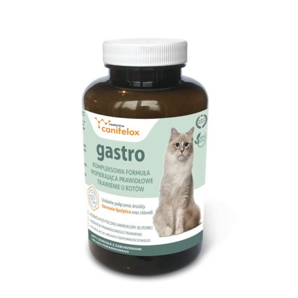 Canifelox Gastro Cat rozwój pożytecznej flory jelitowej