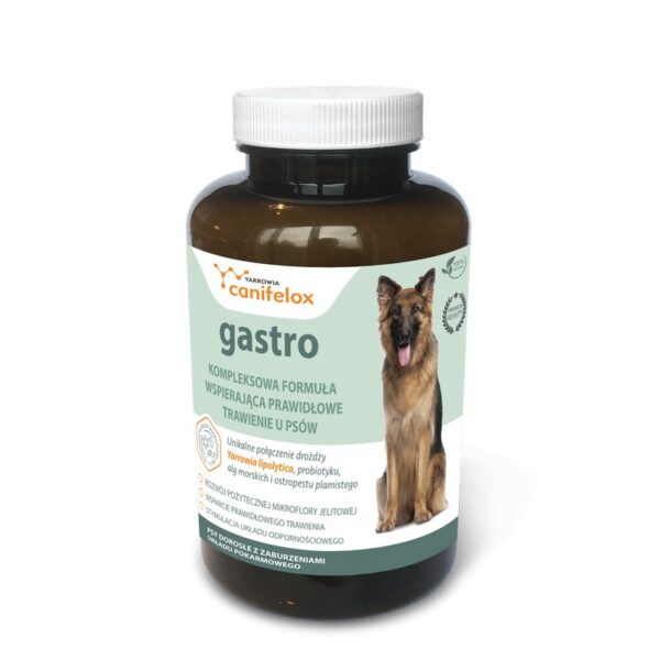 Canifelox Gastro Dog, rozwój pożytecznej flory jelitowej