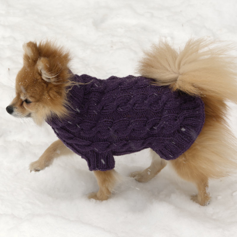 Ciepły wełniany sweterek dla psa lub kota sfinksa
