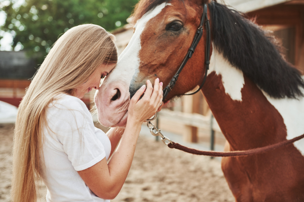Czy konie potrafią kochać?