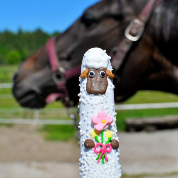 Candy Horse smakołyki dla koni